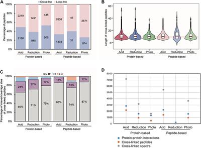 Enhanced protein–protein interaction network construction promoted by in vivo cross-linking with acid-cleavable click-chemistry enrichment